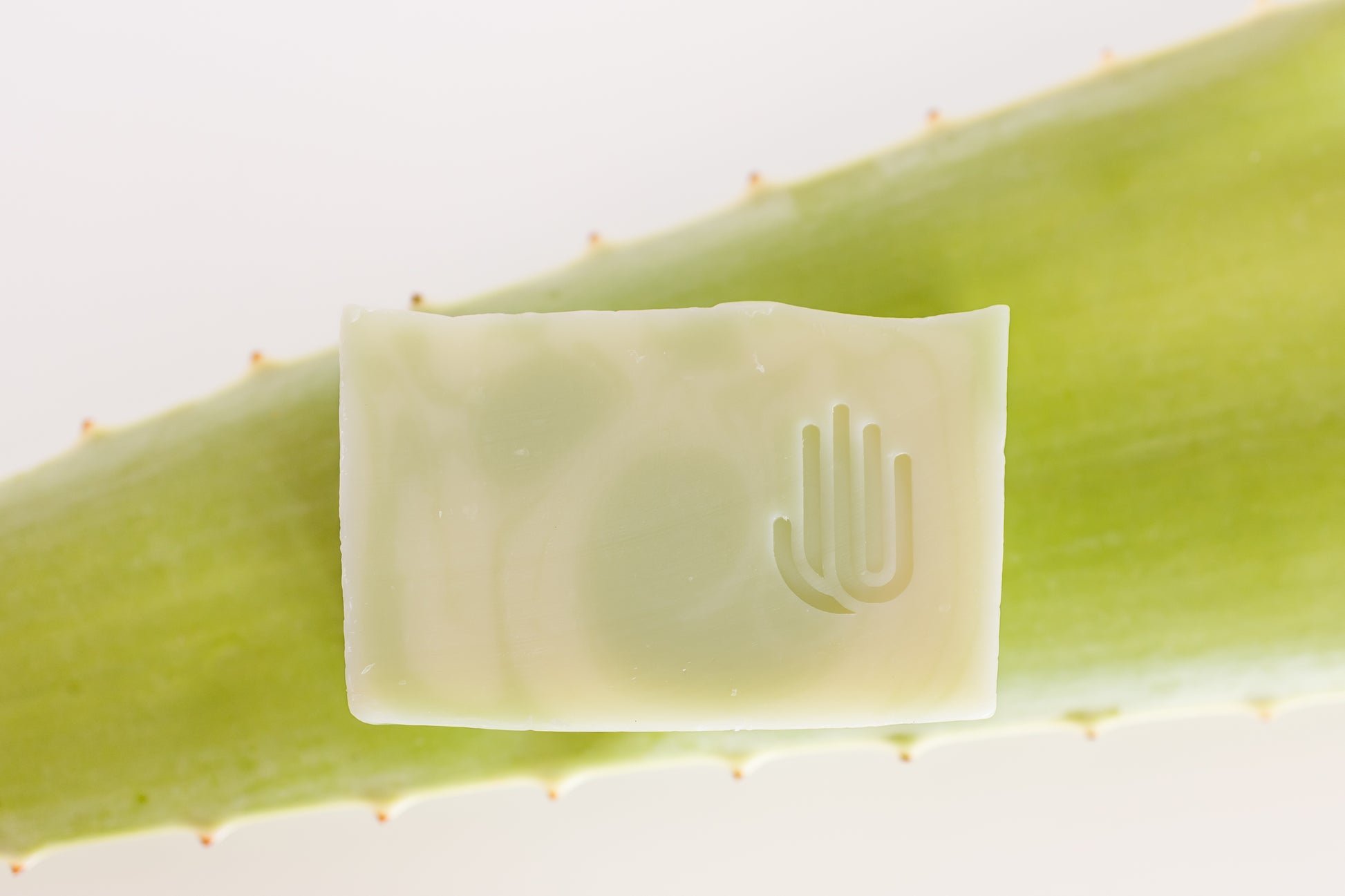 square white and green swirled soap sitting on a real aloe leaf placed on a white background